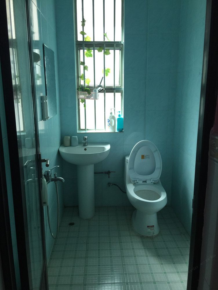 温馨一室单床房