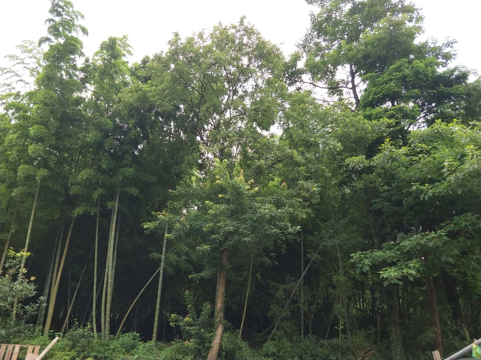 山景房