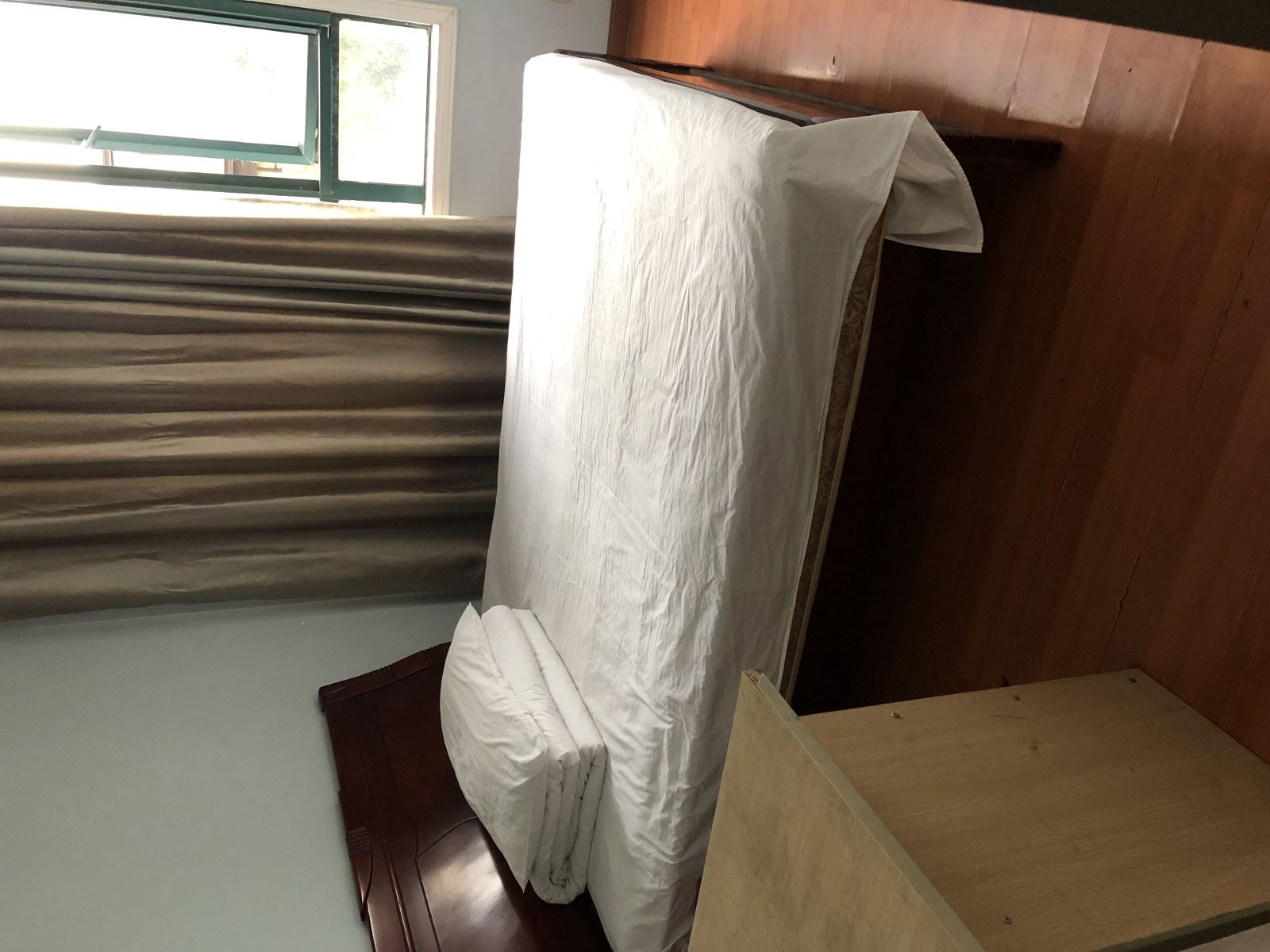 普通大床房