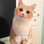 15573674
