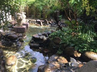 云南香格里拉旅行團(tuán)_云南香格里拉自由游價(jià)格多少_現(xiàn)在到云南香格里拉旅游多少錢