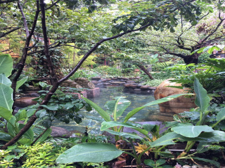 丽江最新旅游_去丽江团体旅游_丽江旅游深圳出发