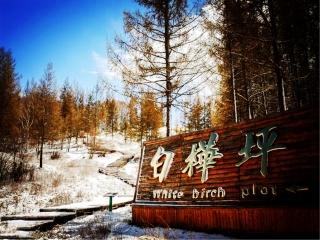 亞布力雪鄉(xiāng)旅游價(jià)格_亞布力雪鄉(xiāng)旅游要多少錢跟團(tuán)_到亞布力雪鄉(xiāng)旅游多少錢