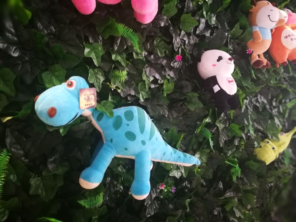 呼和浩特Hohhot青橙青年旅舍