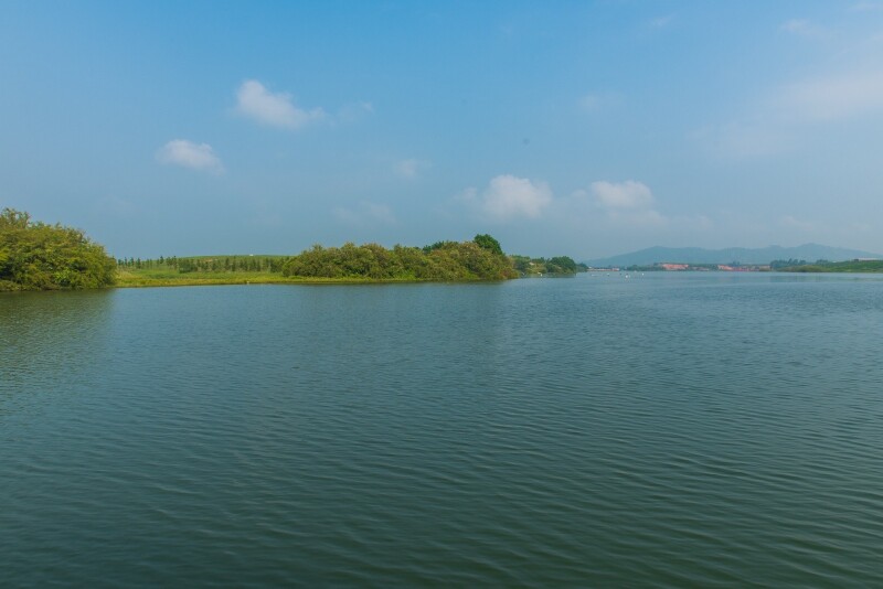 8:00出发前往西津湿地公园(乘船游,停留1小时 西津湖位于县城西南部