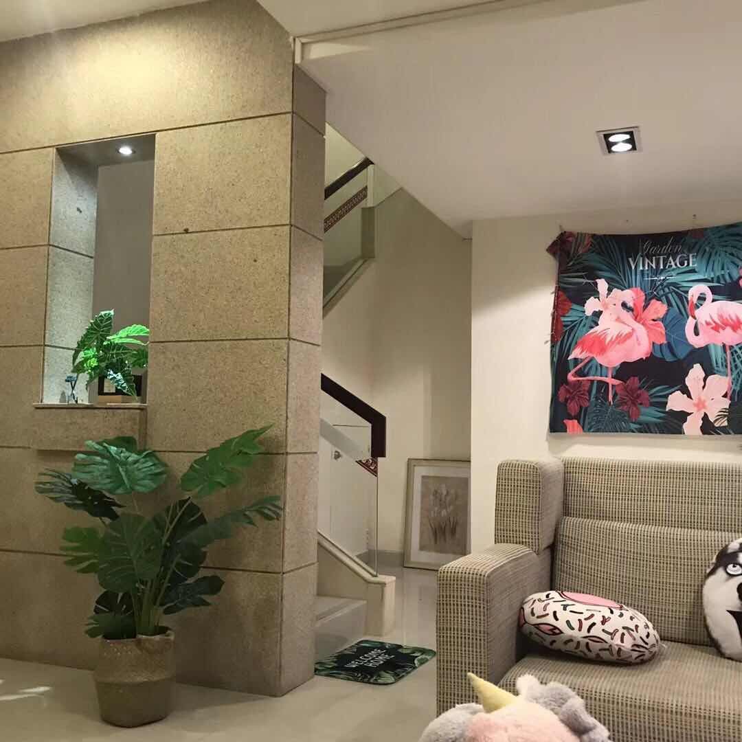 ins风四房两厅八人温泉别墅