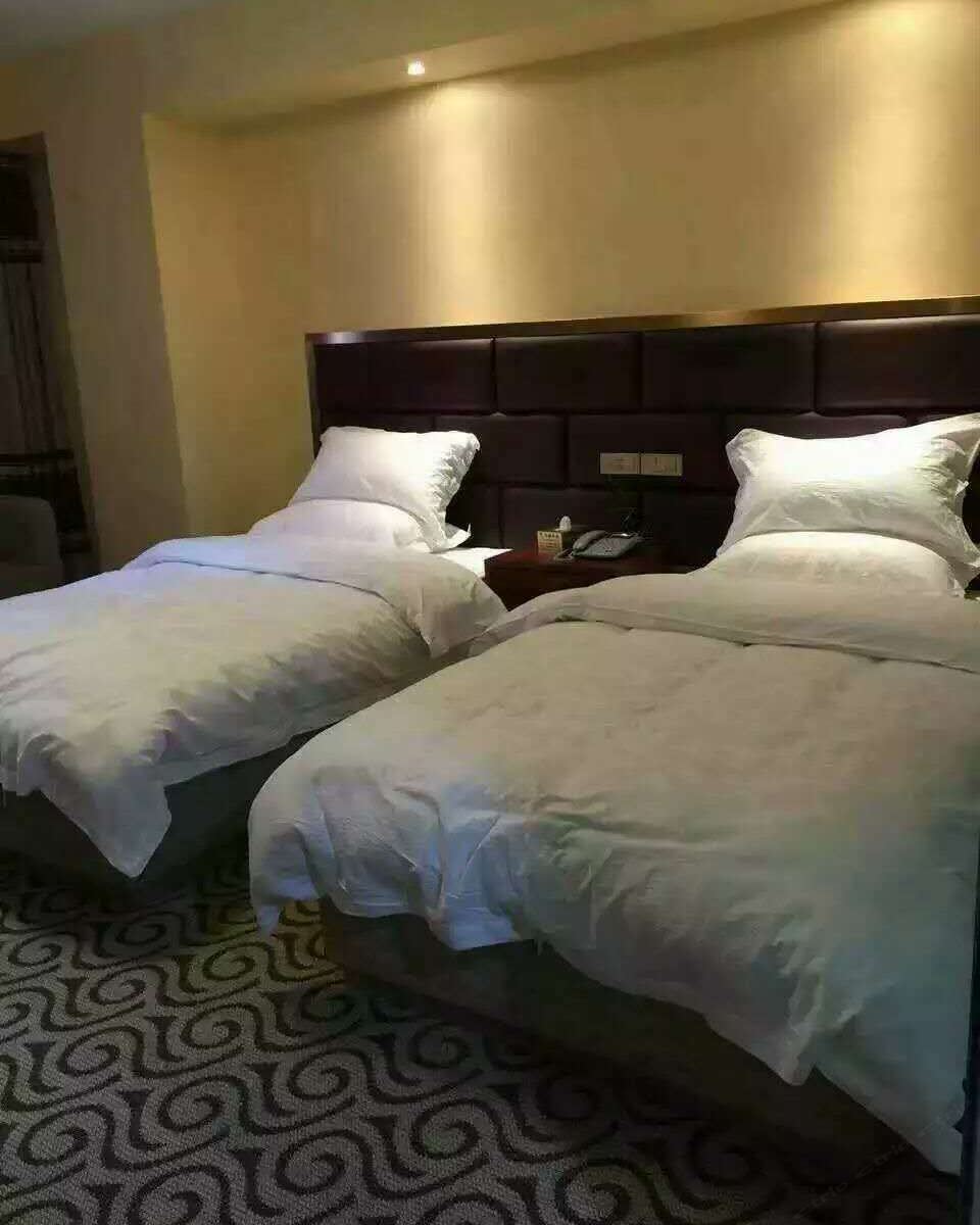 普通双床房