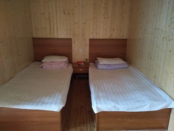 标准双人间