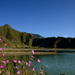 景点模块 