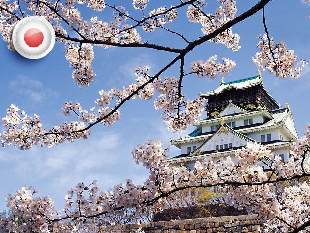 【上海送签】 日本个人旅游签证 三个月单次,免