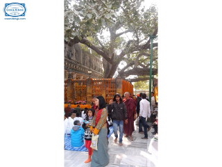 去尼泊尔旅游网_去尼泊尔会议旅游_现在到尼泊尔旅游多少钱