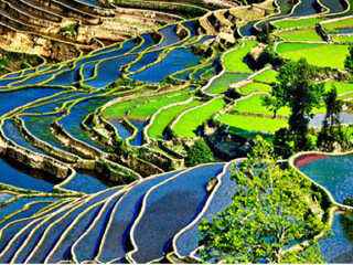旅游云南_参加云南旅游团_去云南5天旅游