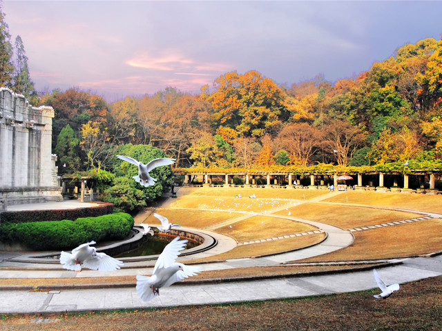 中山音乐台秋景