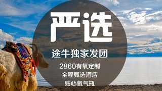 拉萨10日游_西藏旅游要多少钱2021_去西藏旅行7天_西藏六日跟团游