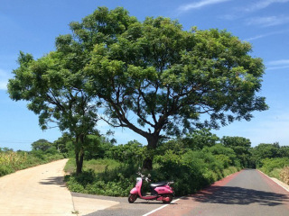 深圳出发出发南宁-北海-涠洲岛旅游_南宁-北海-涠洲岛5日游价格_到南宁-北海-涠洲岛8日旅游