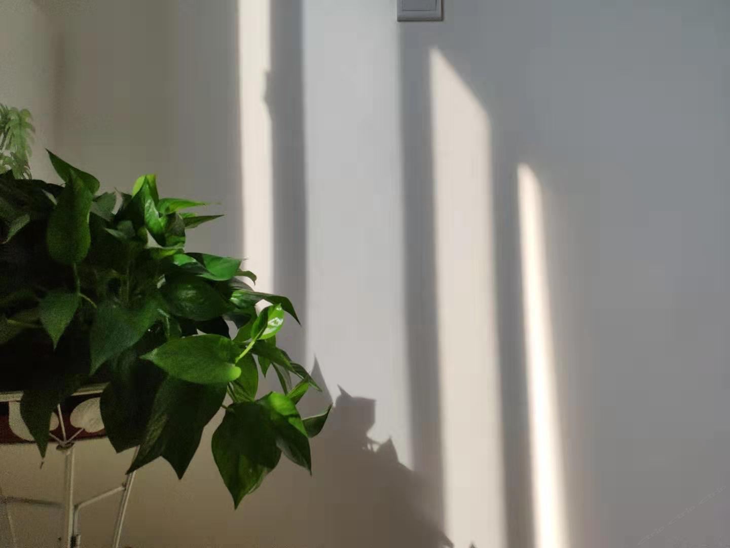 特色榻榻米大床房