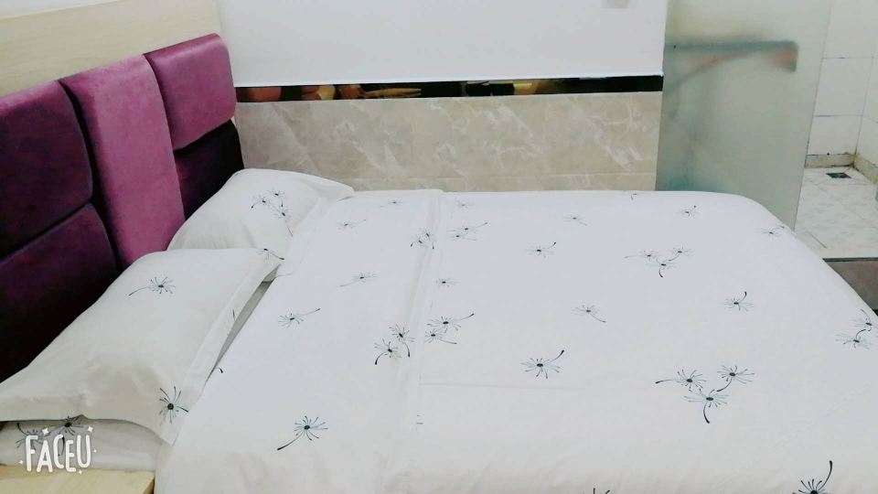 标准单床房