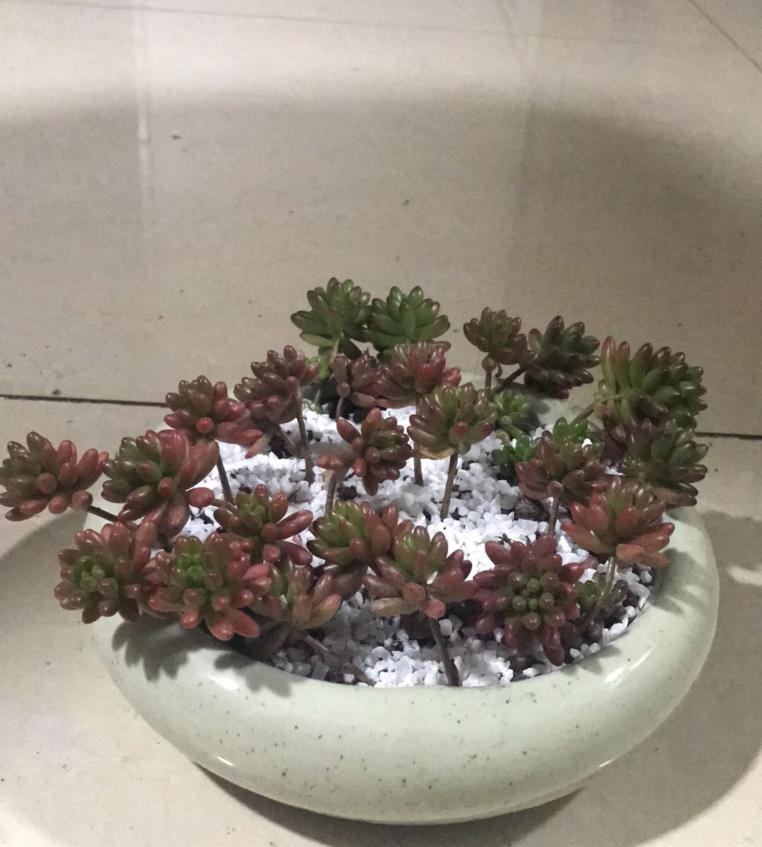 舒适标准间