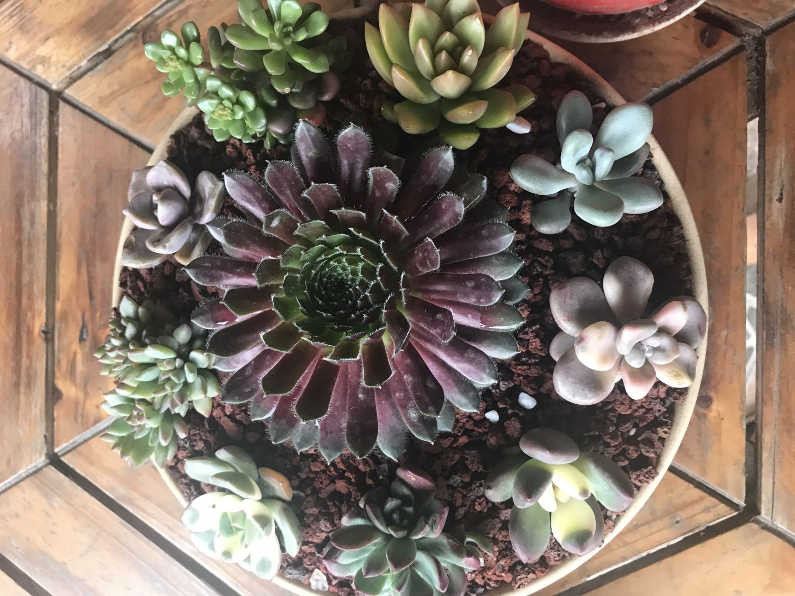 舒适标准间