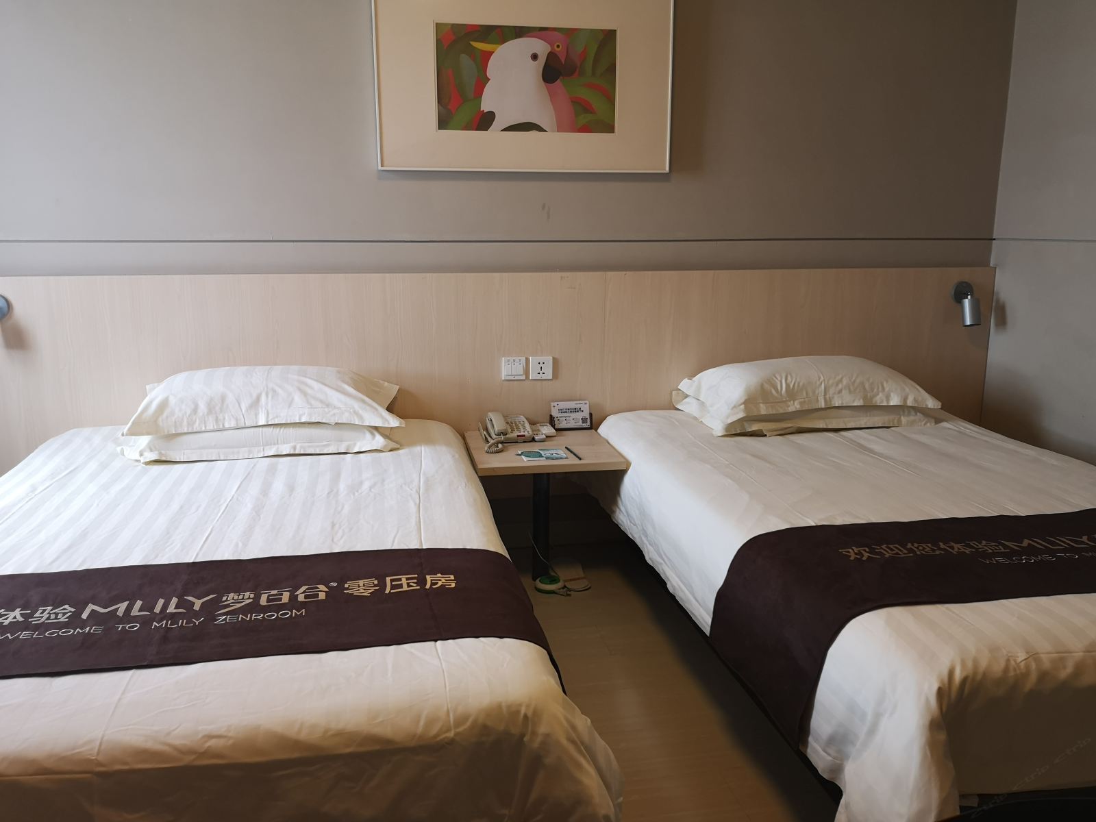 梦百合零压商务标准房A