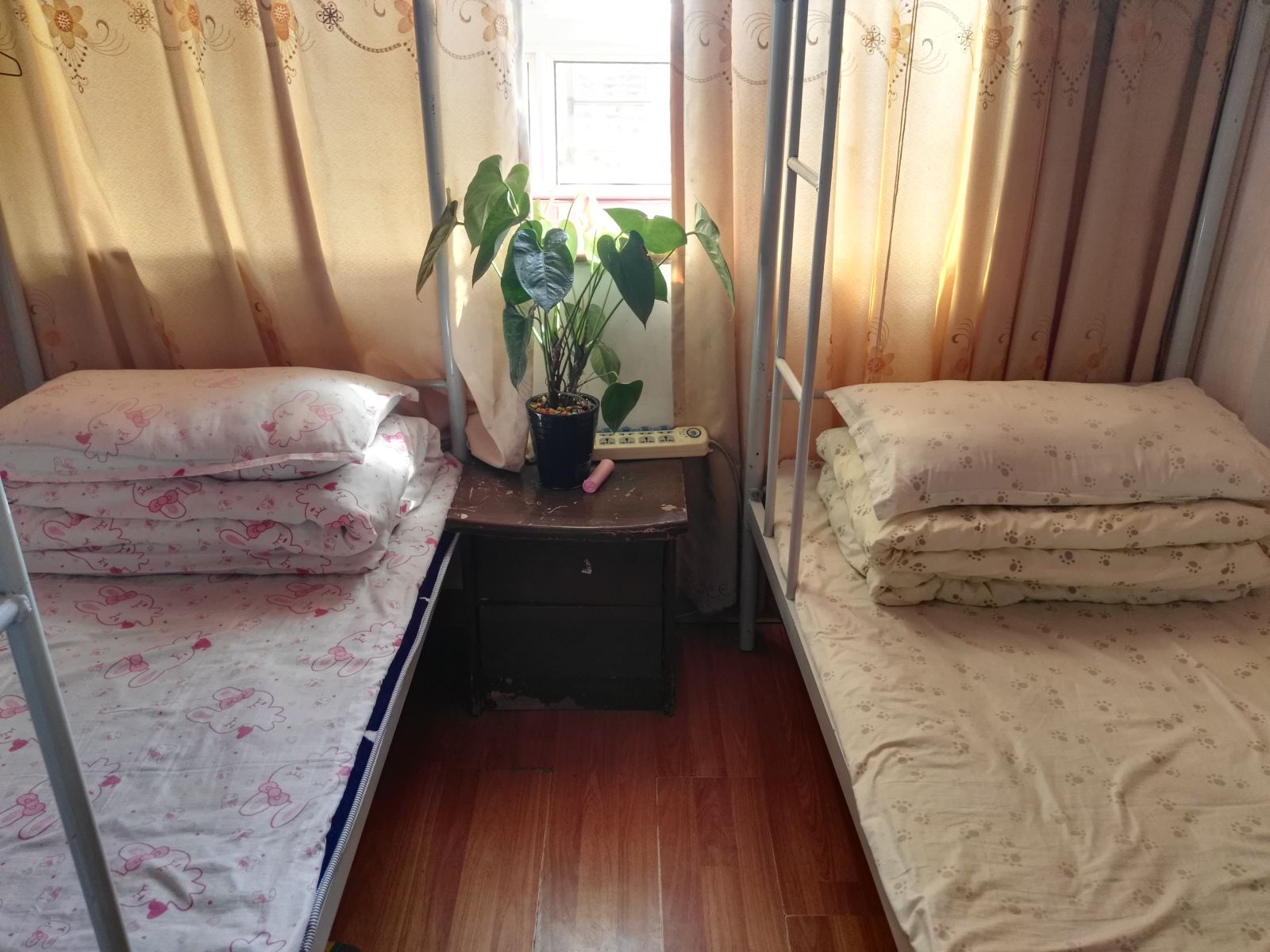 豪华女生床位房