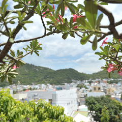 小交通模块 