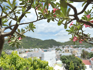 越南芽莊游 旅行團(tuán)_越南芽莊旅游團(tuán)報價自由行_越南芽莊旅游組團(tuán)