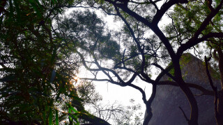 十一长假厦门四日游,国庆节厦门自助游行程攻略