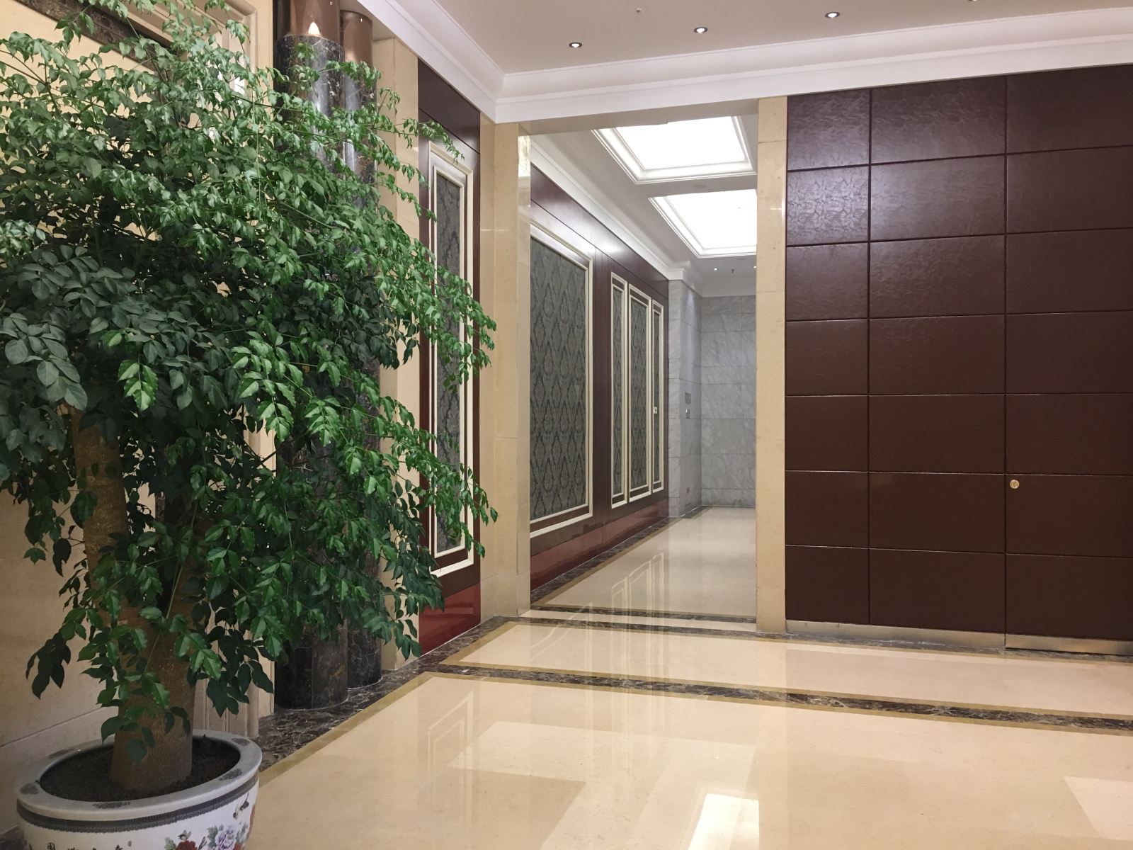 公共区域