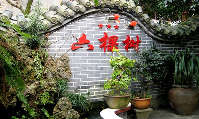 崇州六棵树客栈