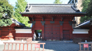 十一长假东京三日游,国庆节东京自助游行程攻略