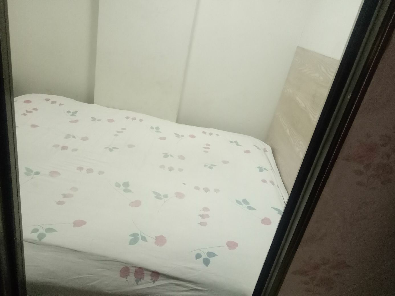 二卧室三床房