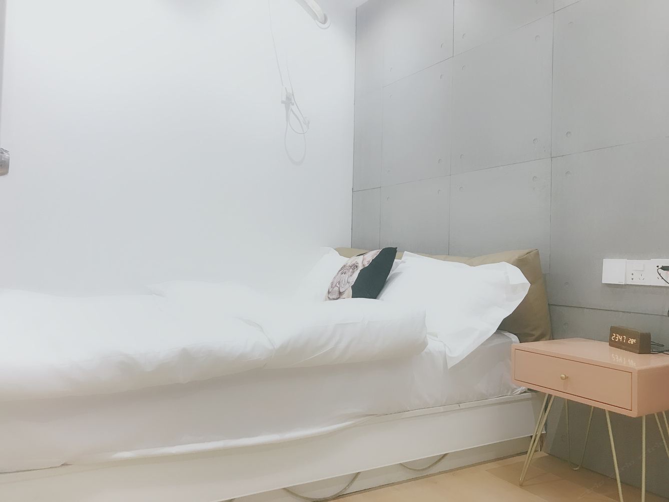 芙蓉二室一厅套房