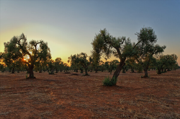 国庆节突尼斯哪里好玩,十一游客人多吗?