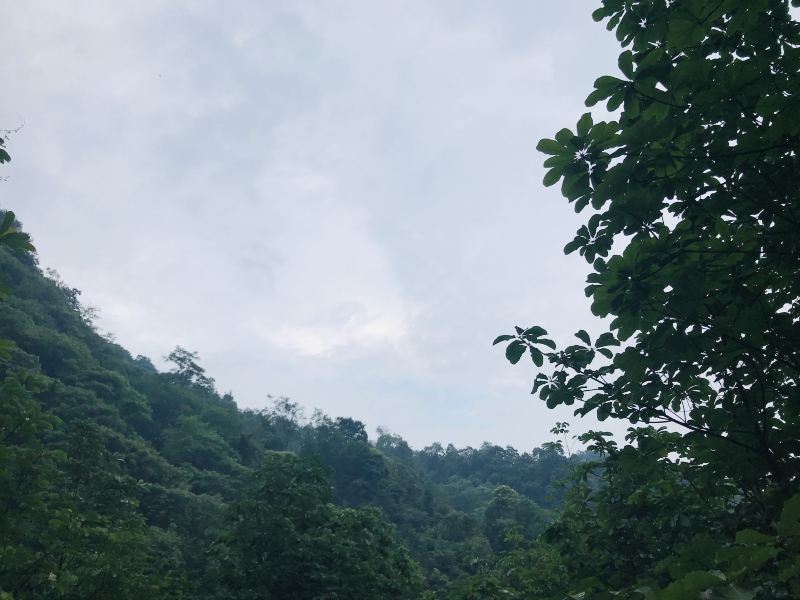 客房