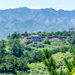 景点模块 