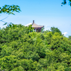 景点模块 