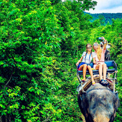 骑大象 景点模块