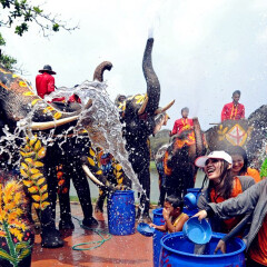 东芭风情园 景点模块