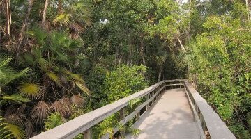 美国迈阿密大沼泽地国家公园+比斯坎国家公园