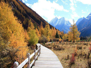 去稻城亚丁旅游组团_现在去稻城亚丁旅游多少钱_稻城亚丁旅游最新