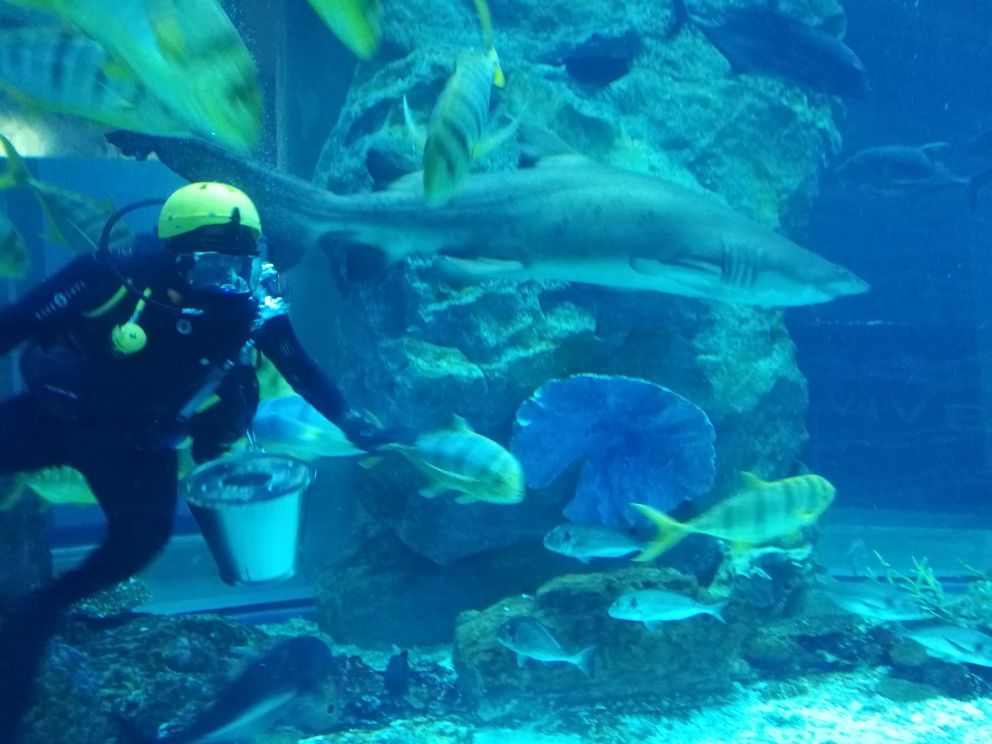 迪拜-沙迦-阿布扎比4晚6日游 EK早航班\/伊朗小