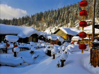 深圳跟团去哈尔滨旅游_报团旅游去哈尔滨_从深圳到哈尔滨旅游