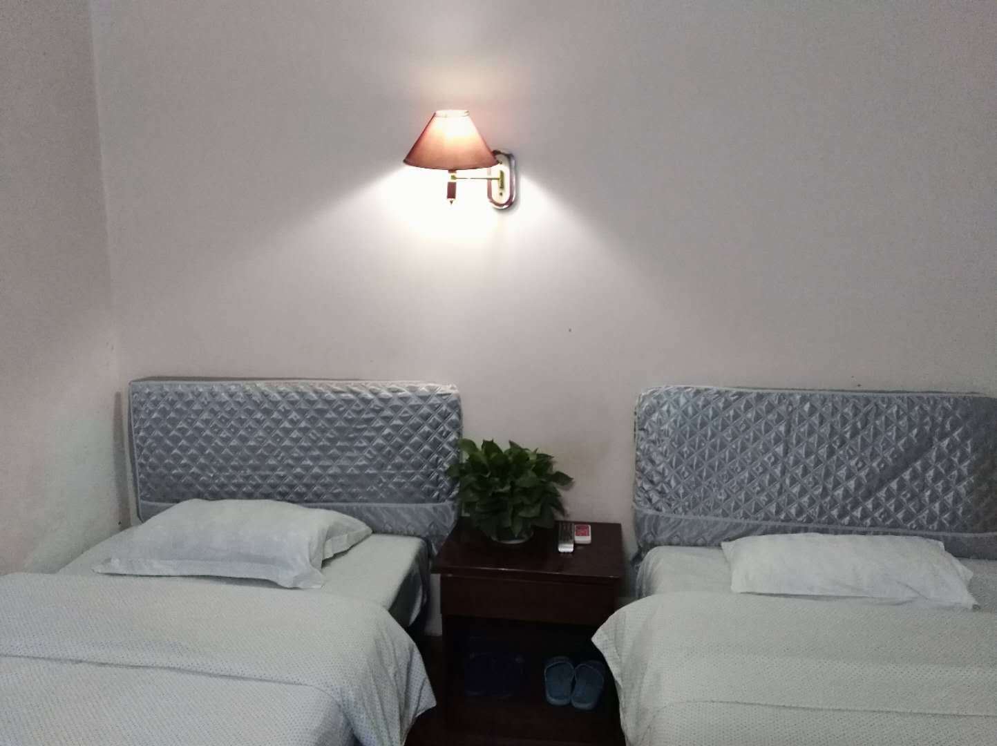经济标准间