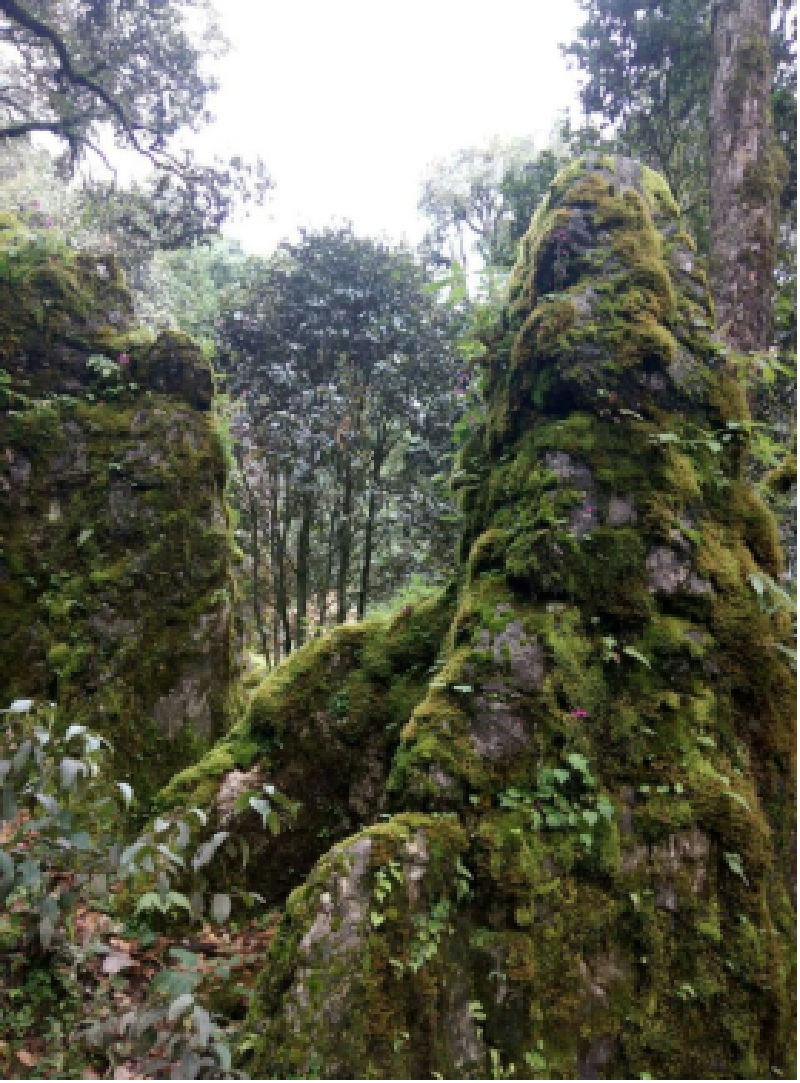 格萨拉石林美不胜收_攀枝花格萨拉生态旅游区游记_途牛