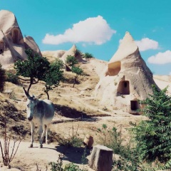 景点模块 