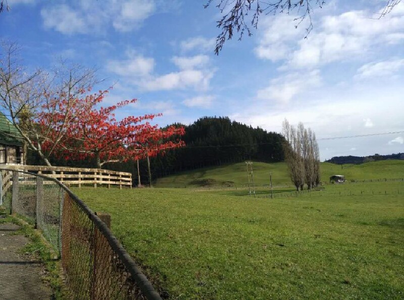 即刻出发,开车房车去新西兰兜风