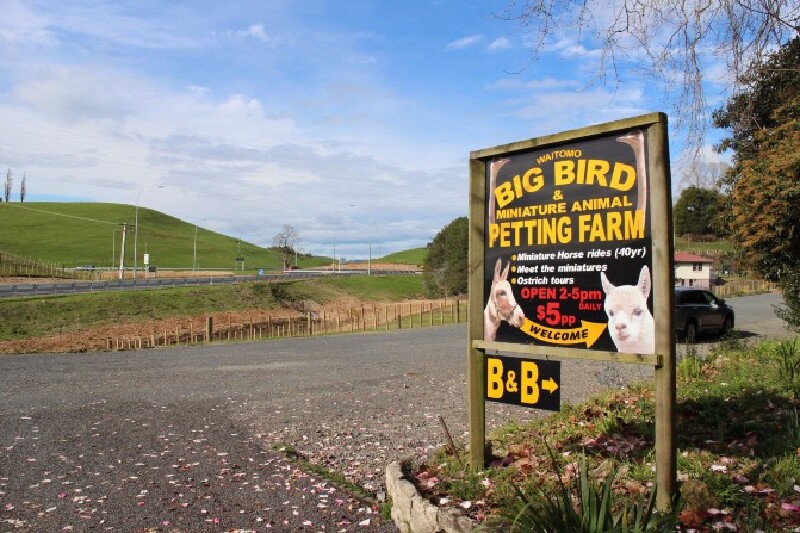 即刻出发,开车房车去新西兰兜风