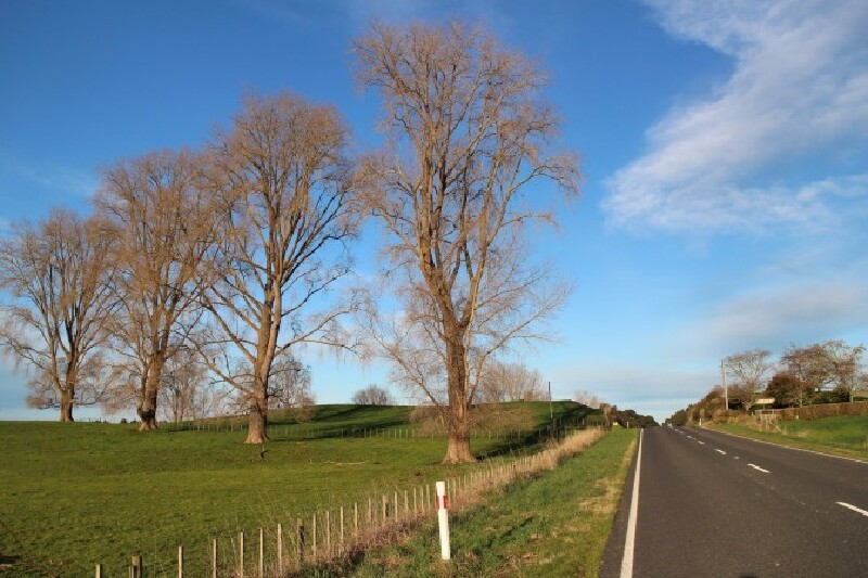 即刻出发,开车房车去新西兰兜风