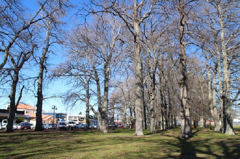 即刻出发,开车房车去新西兰兜风